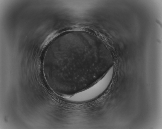 X0000090990295200708301318