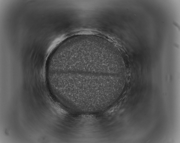 X0000090990296200708301318