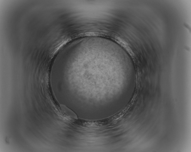 X0000090990297200708301318