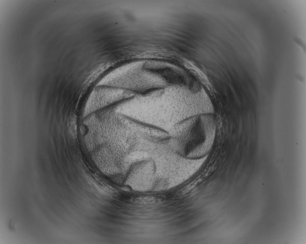 X0000090990298200708301318