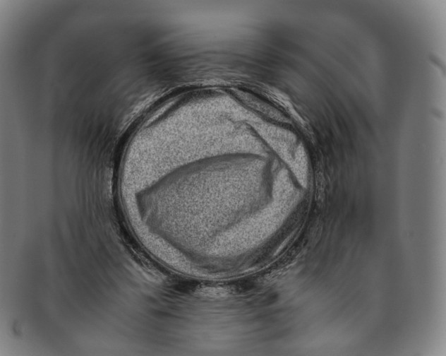 X0000090990299200708301318