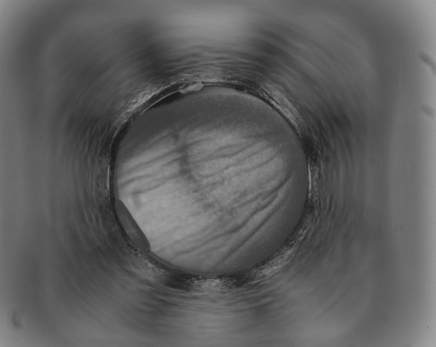 X0000090990301200708301318