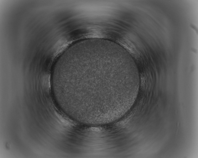 X0000090990302200708301318