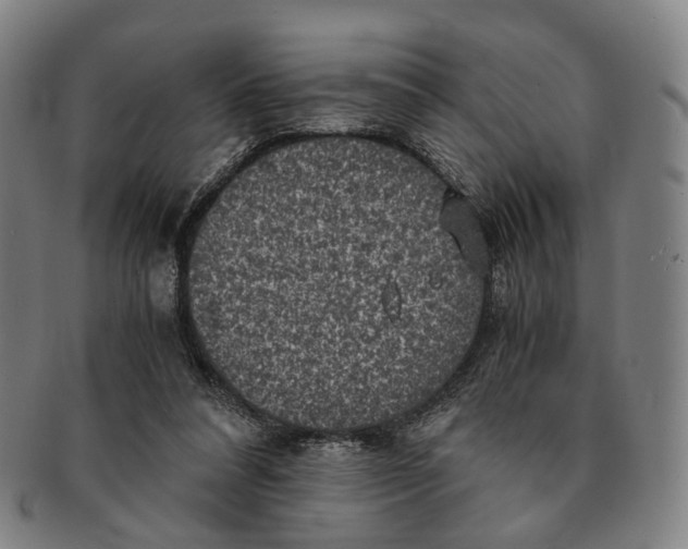 X0000090990304200708301318