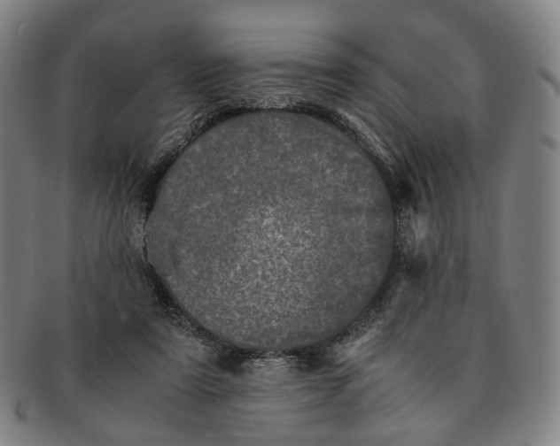 X0000090990307200708301318