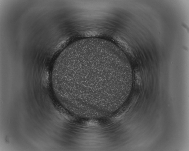 X0000090990308200708301318