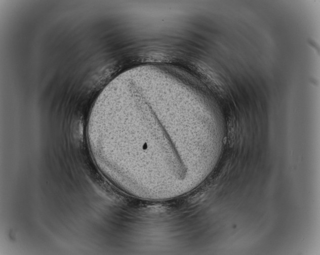 X0000090990310200708301318