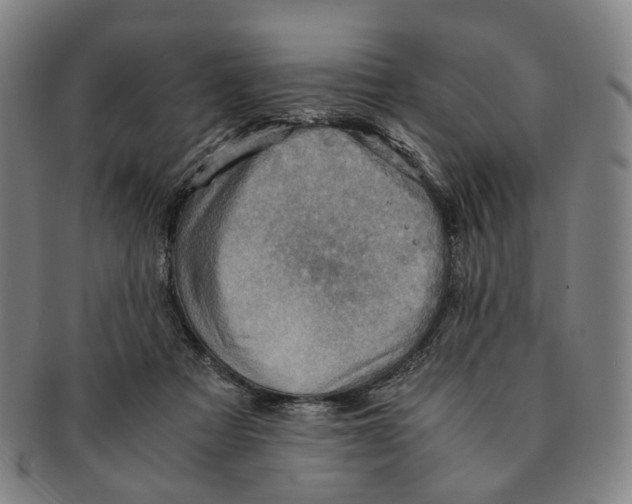 X0000090990313200708301318