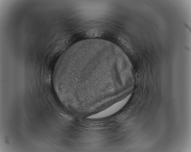 X0000090990315200708301318