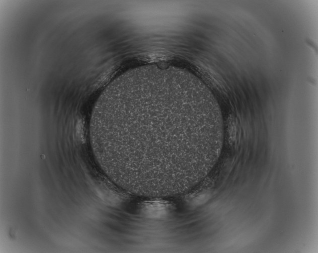 X0000090990316200708301318