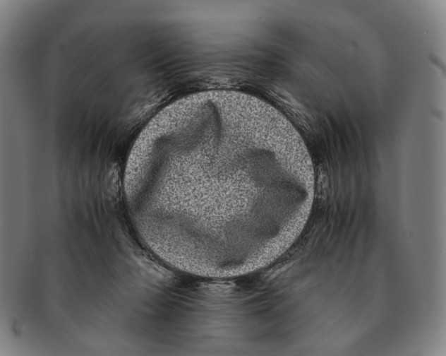 X0000090990318200708301318