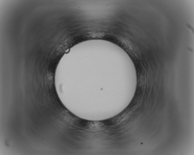 X0000090990321200708301318