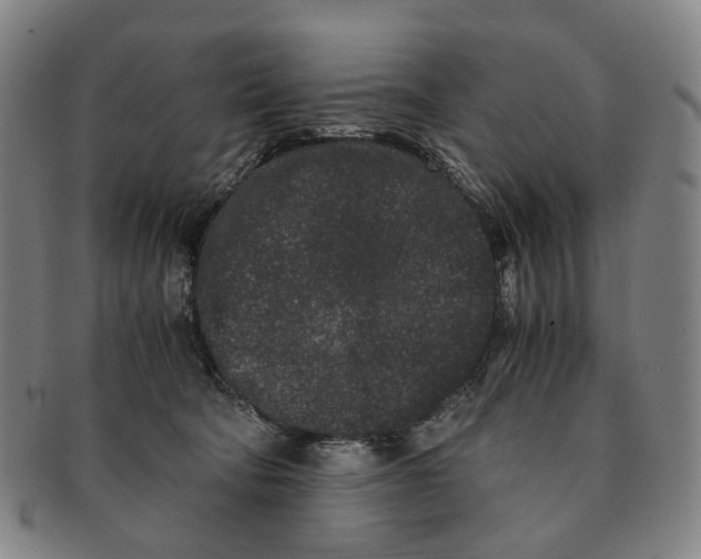 X0000090990322200708301318