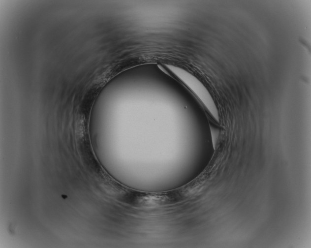 X0000090990323200708301318