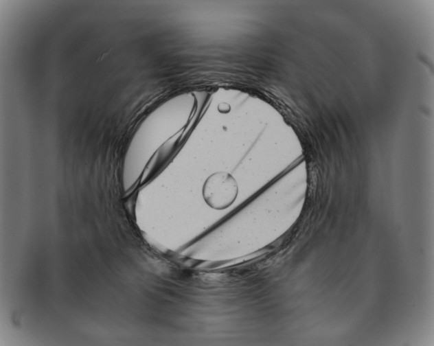 X0000090990325200708301318