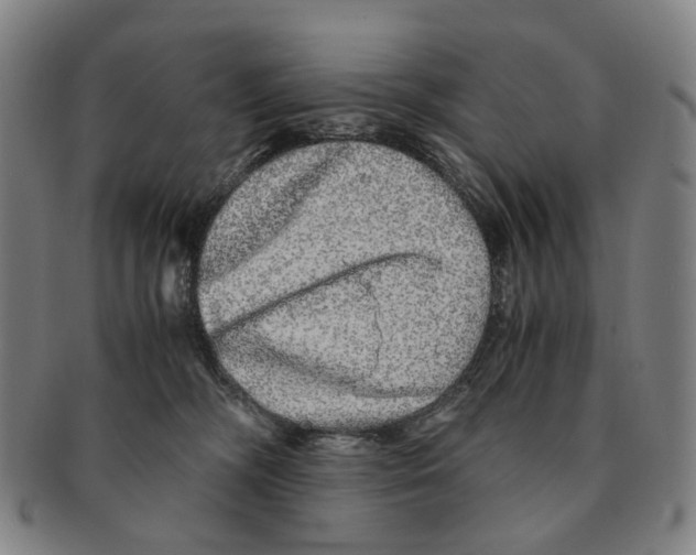 X0000090990326200708301318