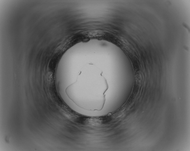 X0000090990327200708301318