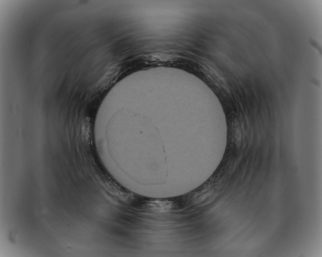 X0000090990328200708301318