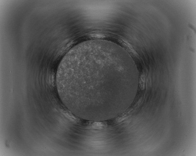 X0000090990330200708301317