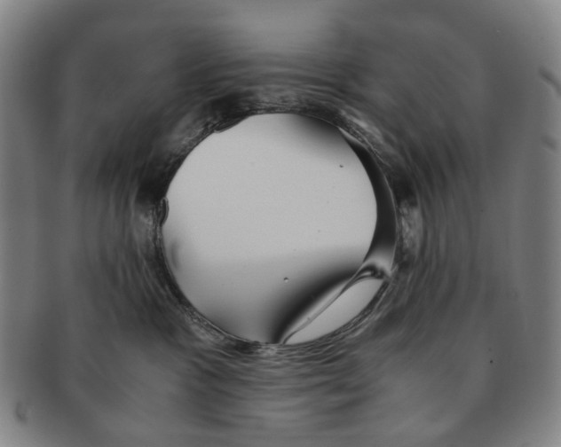 X0000090990333200708301317