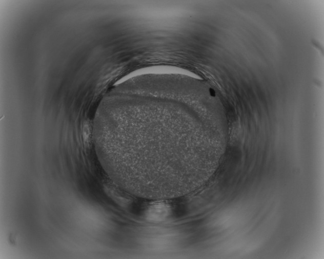 X0000090990335200708301317