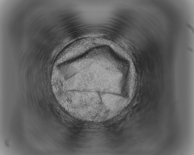 X0000090990337200708301317