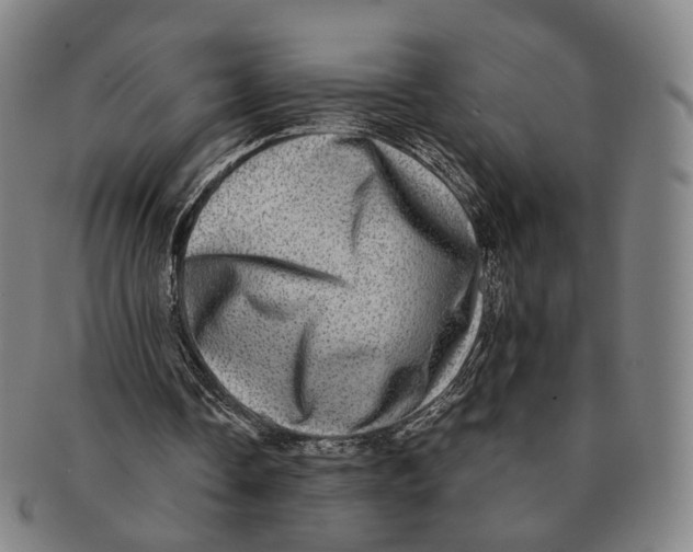 X0000090990338200708301317