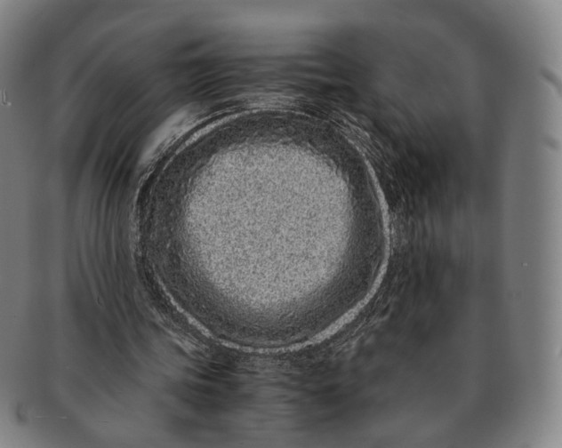 X0000090990339200708301317