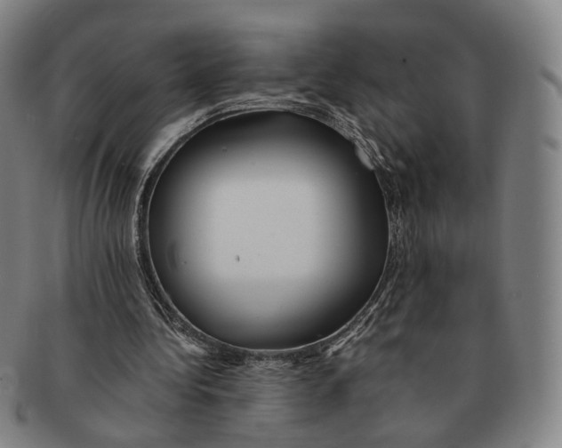 X0000090990340200708301317