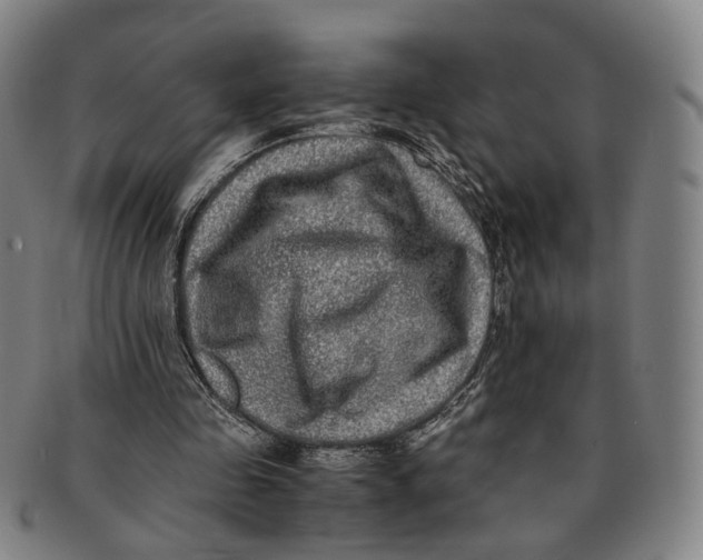 X0000090990341200708301317