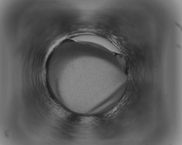 X0000090990342200708301317