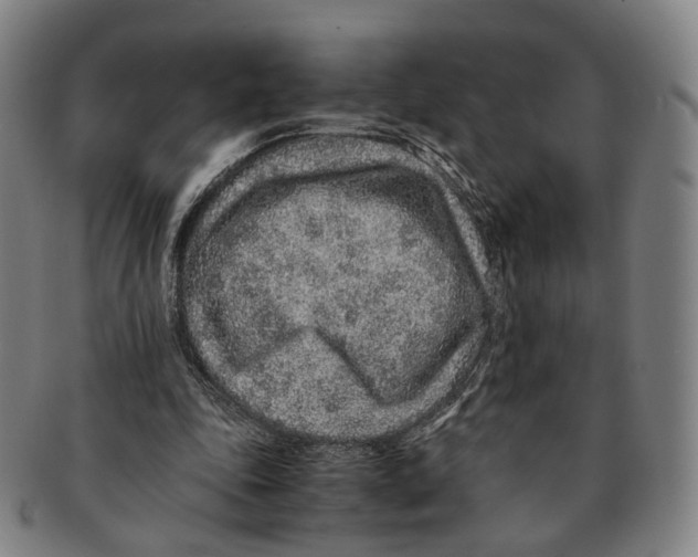 X0000090990343200708301317