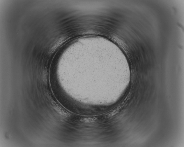 X0000090990345200708301317