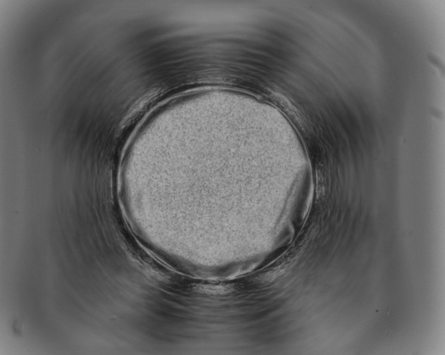 X0000090990349200708301317