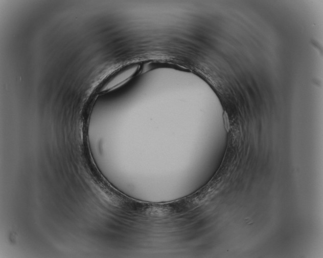 X0000090990350200708301317