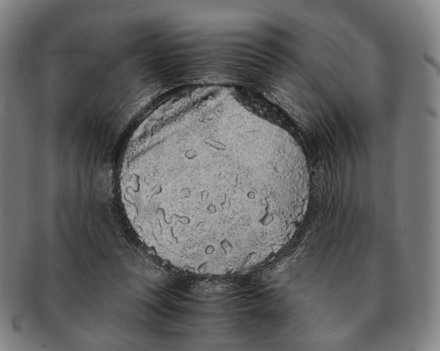 X0000090990351200708301317