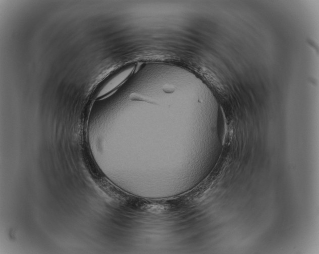 X0000090990352200708301317