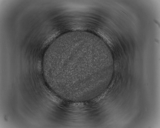 X0000090990353200708301317