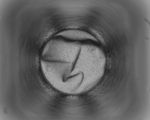 X0000090990354200708301317