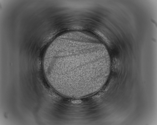 X0000090990355200708301317