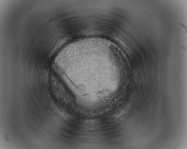 X0000090990357200708301317