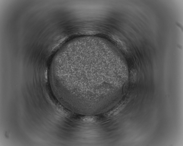 X0000090990358200708301317