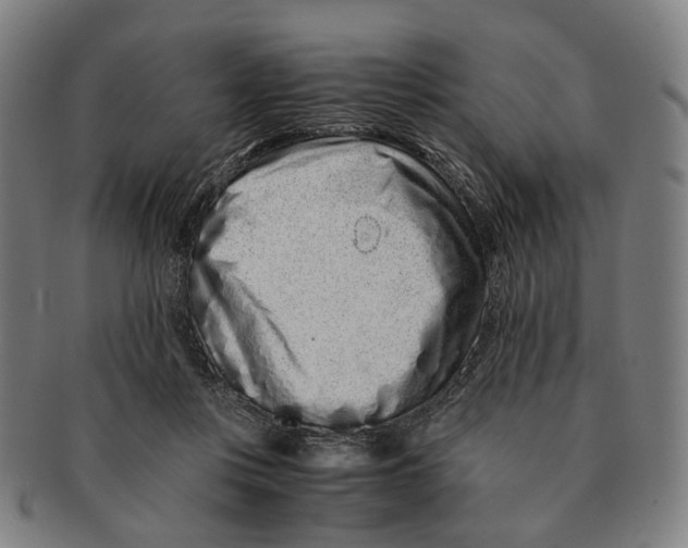 X0000090990359200708301317