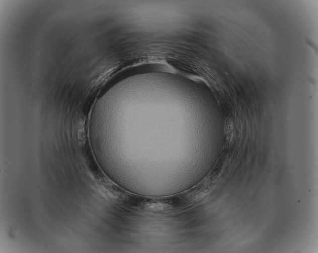 X0000090990360200708301317