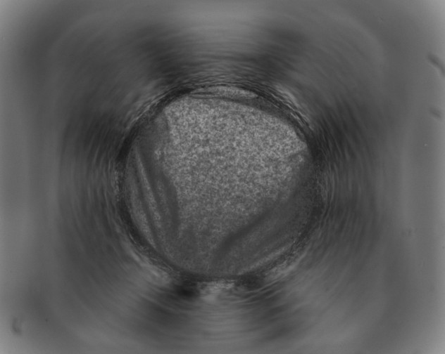 X0000090990366200708301317