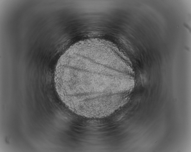 X0000090990367200708301317