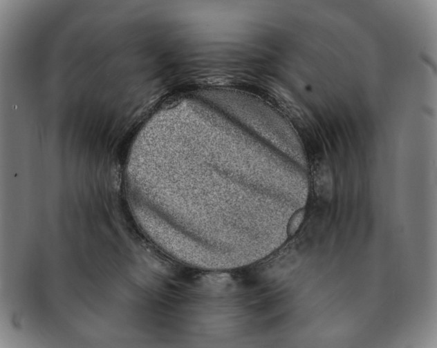 X0000090990374200708301317