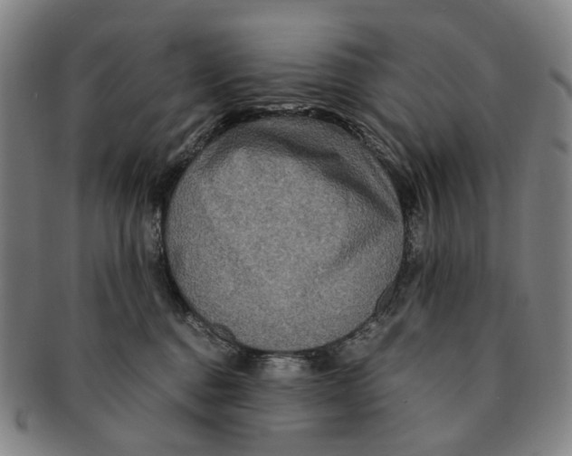 X0000090990376200708301317