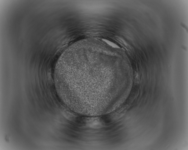 X0000090990377200708301317