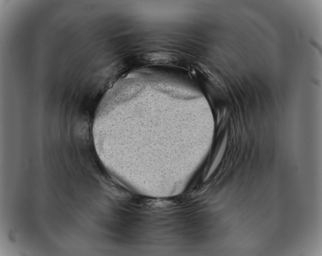 X0000090990379200708301317